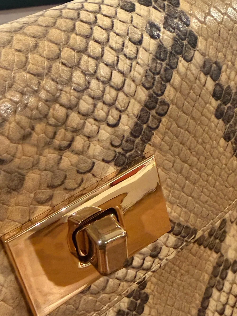 J.Crew Snake Print Bag